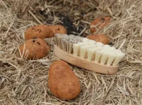 Vegetable brush